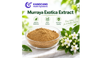 Bulk Supplement Murraya Paniculata Extract 10:1 Powder