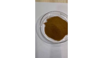 Eyebright Extract
