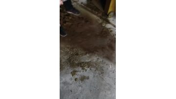pressing soybeans for oil