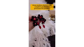 Video 23