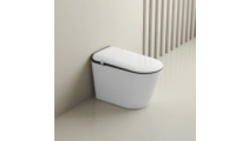 Ceramic Bathroom Sanitaryware MJ-ST04: Smart Toilet without Water Tank1