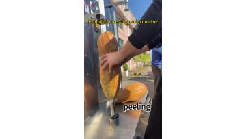 Pumpkin processing production line