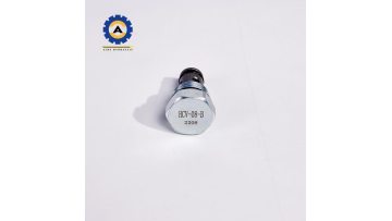 check valve 1