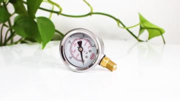 pressure gauge