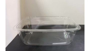 Salad Tub