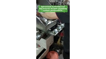 Video 12