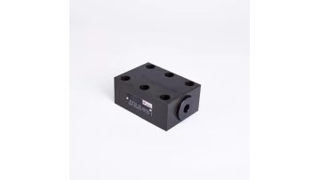 RVP16 Check valve