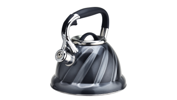 FH-316 stainless steel whistling stove top kettle