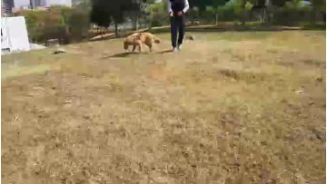 21-0801 Running
