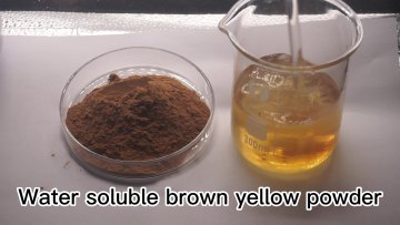 New Listing Natural Codonopsis Extract 10:1 Codonopsis Pilosula Extract Dangshen Root Extract1