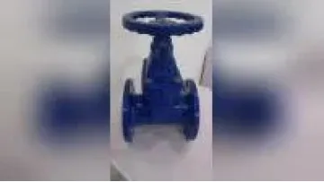 Flange End Non-Rising Stem Gate Valves1