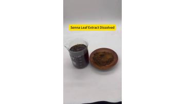 Senna Leaf Extract Dissolved