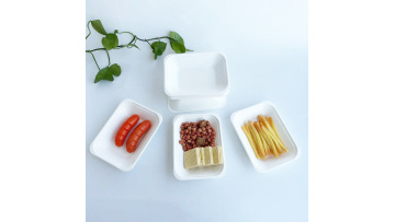 Bagasse chip tray (2)