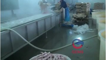 chicken feet  washing machine