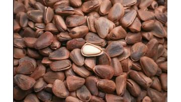 280g Organic Open Pine Nuts