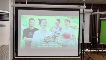 projector screen