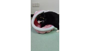 NWW-005 Pink CaveBed