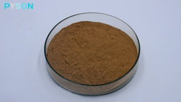 Reishi Mushroom Extract