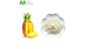 Bulk Price Natural Pineapple Fruit Powder1