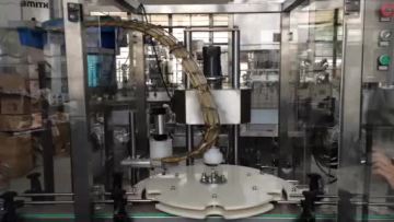 High quality automatic cap feeding and screw capping machine for Bottles1