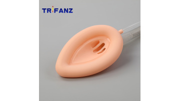 Silicone laryngeal mask airway- aparture bar