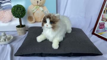 Ultrasonic pillow