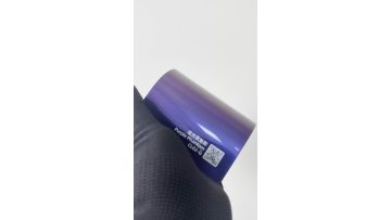 Purple Phantom	CL02-G