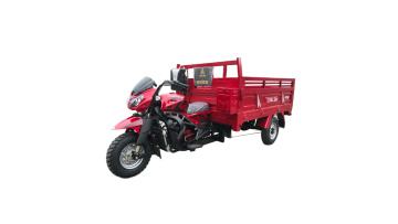 Flexible and convenient Gasoline Tricycle