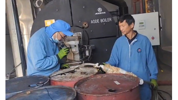 Thermal oil boilers