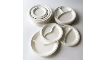 bagasse pulp sugarcane plates