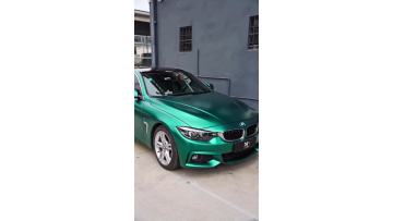 PM11-P  Metal Emerald