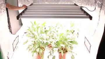 1000W waterproof grow light