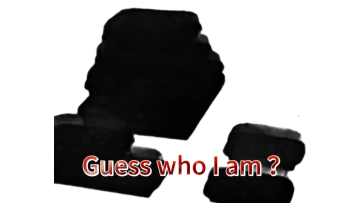 What is their flagship product?