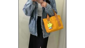 Canvas Tote & Lunch Bag