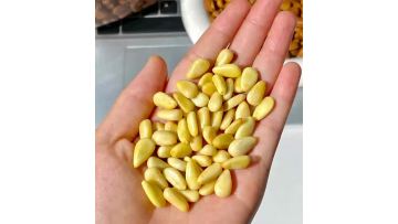 500g Pine Nut
