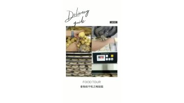 Food Chopping Machine food drying vegetable dryer fruit dryer machine vegetables dehydrator machine food dehydrators fruit dryer1