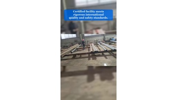 Video 39