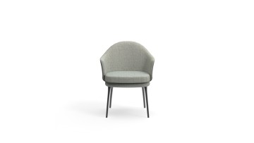 Living Room Accent Chairs Upholstered Lounge Armchairs, Fabric - Covered Living Seats, Leather - Trimmed Accent Chairs, Metal - Legged Living Room Chairs, Tufted Living Chairs