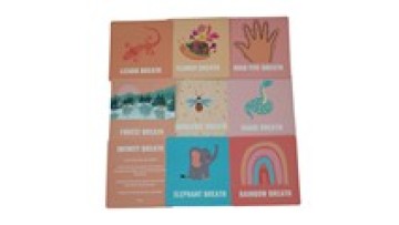 Custom High Quality Children's English Learning Flash Cards with Box Packaging1