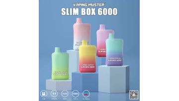 Slim Box Vape 6000 Puff