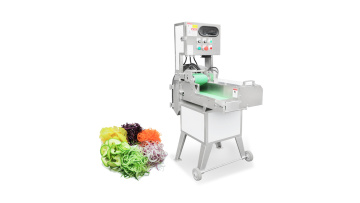 ST-Q303 Vegetable slicing machine 