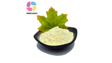 High Quality Pure Luteolin Extract Powder1