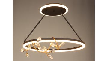 Minimalist Indoor Modern LED Ceiling light fixture