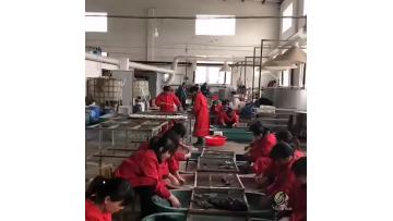 Vogue hair factory.mp4