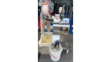 Fruit and vegetable dicing machine