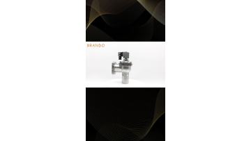 CAC25FS Goyen Type FS Series Flanged Pulse Valve