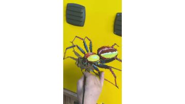 spider2