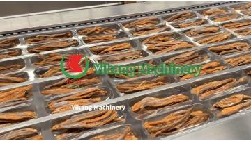 Dried Fish Thermoforming Packaging Machine