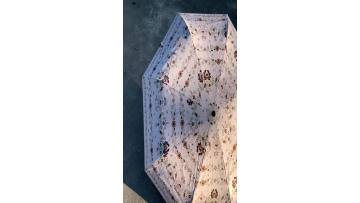 3 folding umbrella.mp4