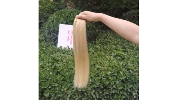 Large Stock Top Quality Virgin Hair 100 Remy Human Tape Hair Extensions Skin Weft Hair Extension Color B2-61